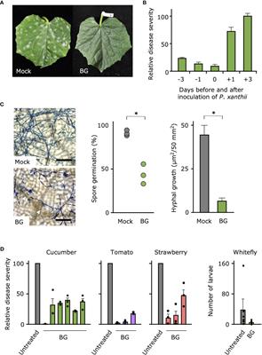 Entomopathogenic fungus Beauveria bassiana–based bioinsecticide suppresses severity of powdery mildews of vegetables by inducing the plant defense responses